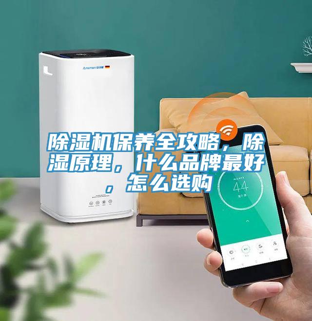 辣椒视频APP下载并安装保养全攻略，除湿原理，什么品牌最好，怎么选购