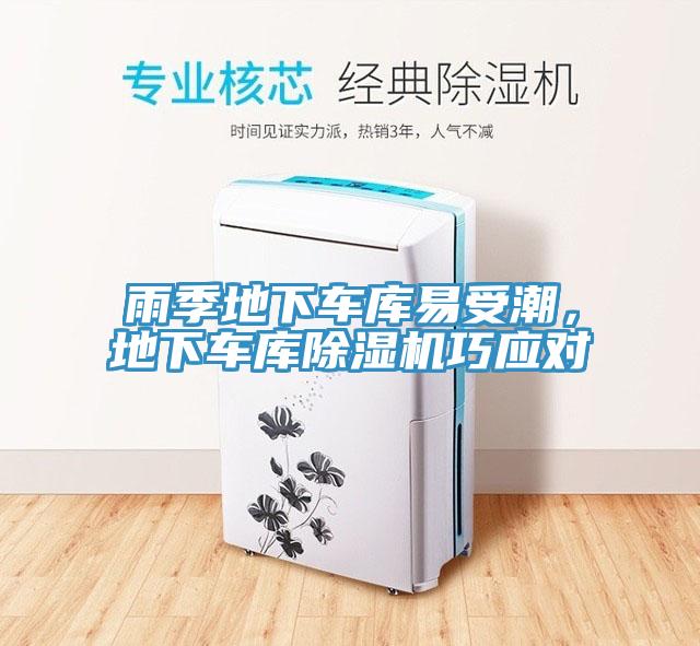 雨季地下车库易受潮，地下车库辣椒视频APP下载并安装巧应对