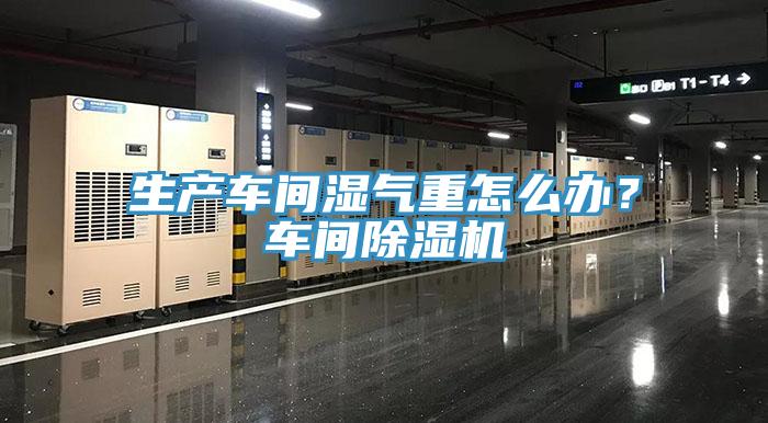 生产车间湿气重怎么办？车间辣椒视频APP下载并安装