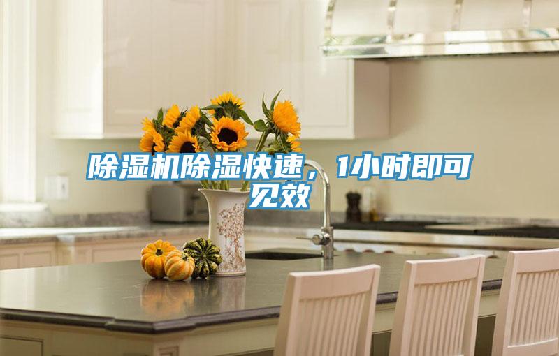 辣椒视频APP下载并安装除湿快速，1小时即可见效