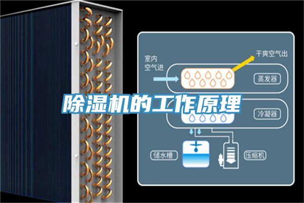 辣椒视频APP下载并安装的工作原理