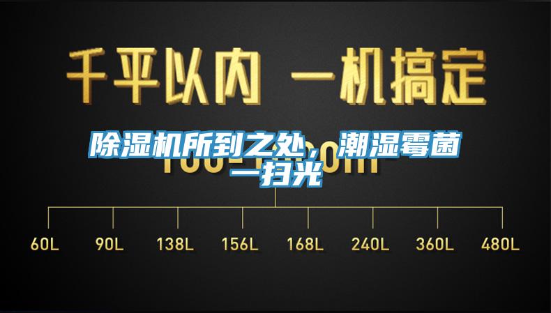 辣椒视频APP下载并安装所到之处，潮湿霉菌一扫光