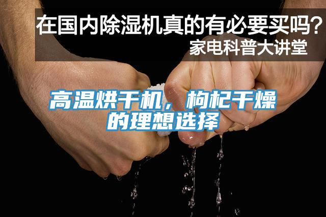 高温烘干机，枸杞干燥的理想选择