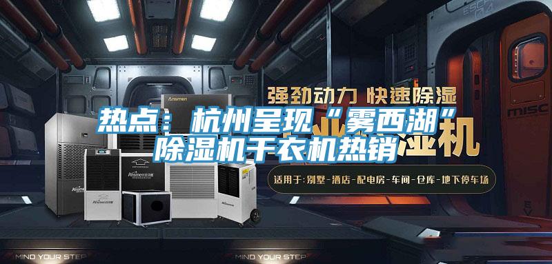 热点：杭州呈现“雾西湖”辣椒视频APP下载并安装干衣机热销
