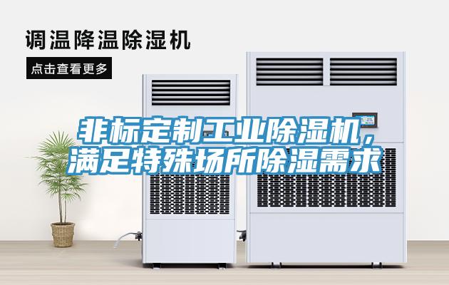非标定制工业辣椒视频APP下载并安装，满足特殊场所除湿需求