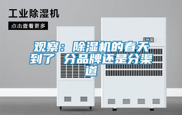 观察：辣椒视频APP下载并安装的春天到了 分品牌还是分渠道