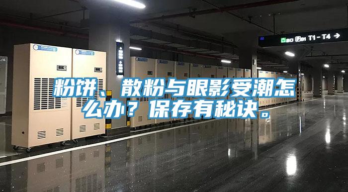 粉饼、散粉与眼影受潮怎么办？保存有秘诀。