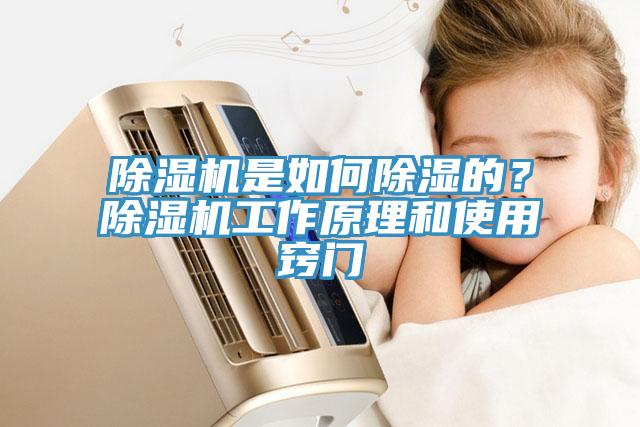 辣椒视频APP下载并安装是如何除湿的？辣椒视频APP下载并安装工作原理和使用窍门