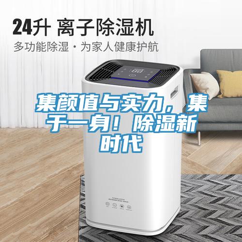 集颜值与实力，集于一身！除湿新时代