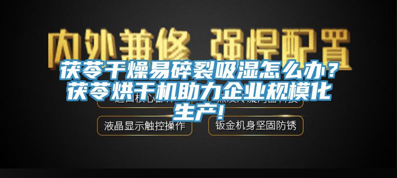 茯苓干燥易碎裂吸湿怎么办？茯苓烘干机助力企业规模化生产!