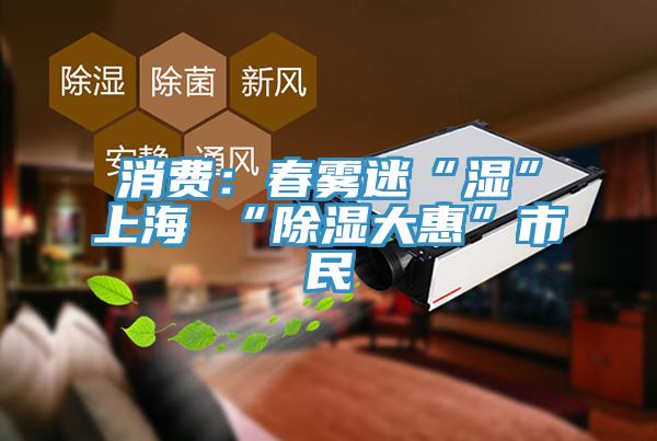 消费：春雾迷“湿”上海 “除湿大惠”市民