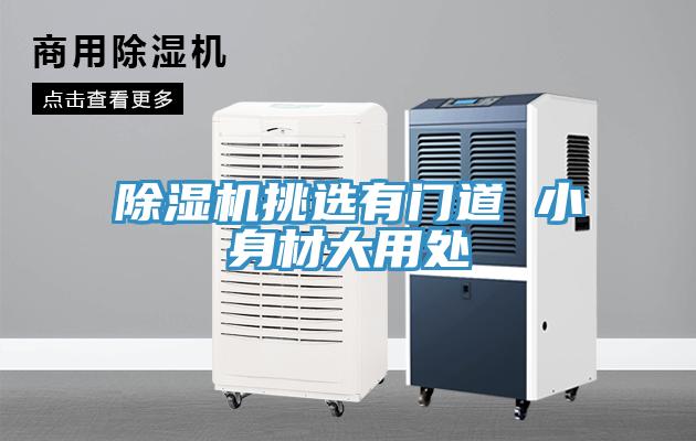 辣椒视频APP下载并安装挑选有门道 小身材大用处