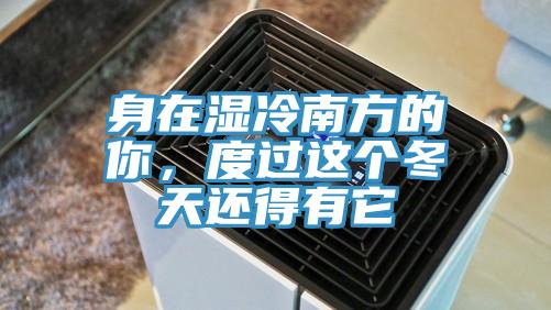 身在湿冷南方的你，度过这个冬天还得有它