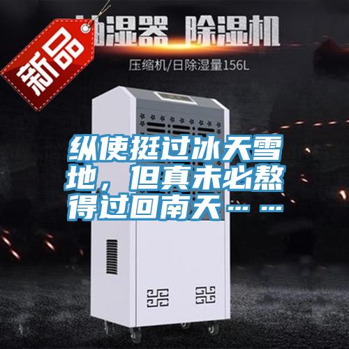 纵使挺过冰天雪地，但真未必熬得过回南天……