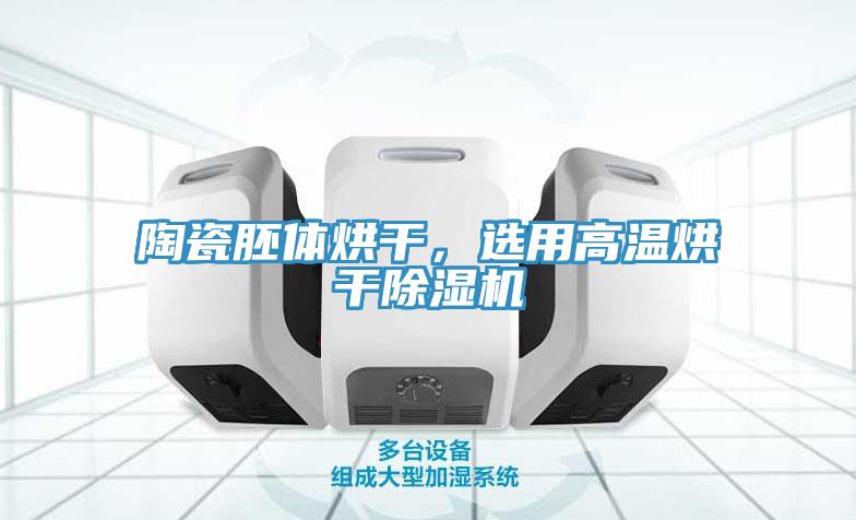 陶瓷胚体烘干，选用高温烘干辣椒视频APP下载并安装