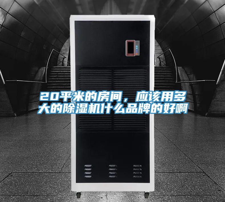 20平米的房间，应该用多大的辣椒视频APP下载并安装什么品牌的好啊