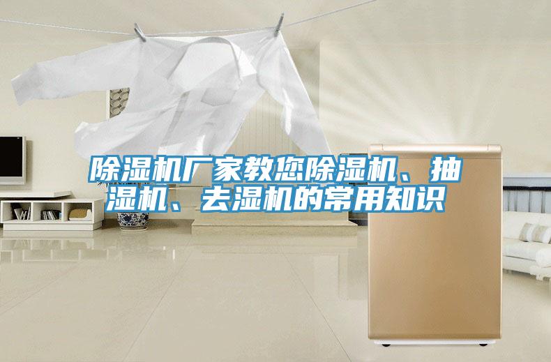 辣椒视频APP下载并安装厂家教您辣椒视频APP下载并安装、抽湿机、去湿机的常用知识