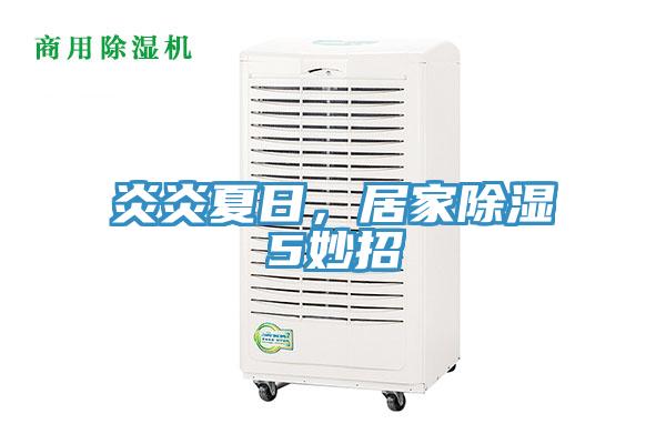 炎炎夏日，居家除湿5妙招