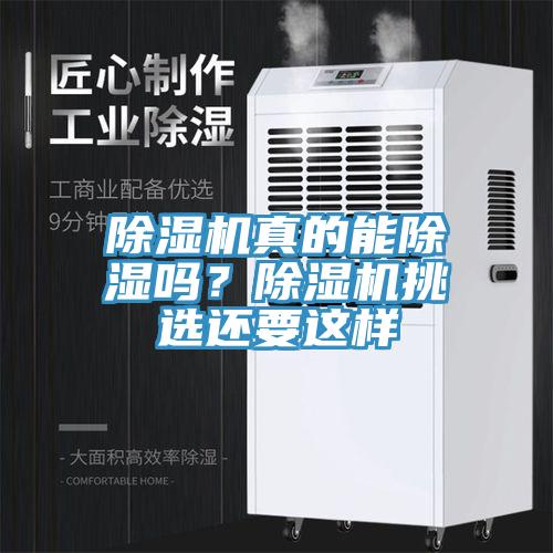 辣椒视频APP下载并安装真的能除湿吗？辣椒视频APP下载并安装挑选还要这样