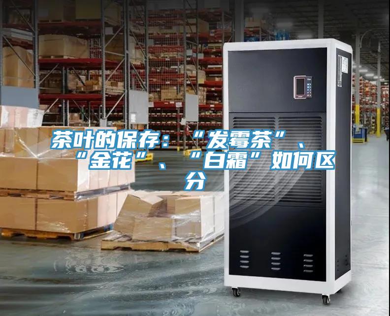 茶叶的保存：“发霉茶”、“金花”、“白霜”如何区分