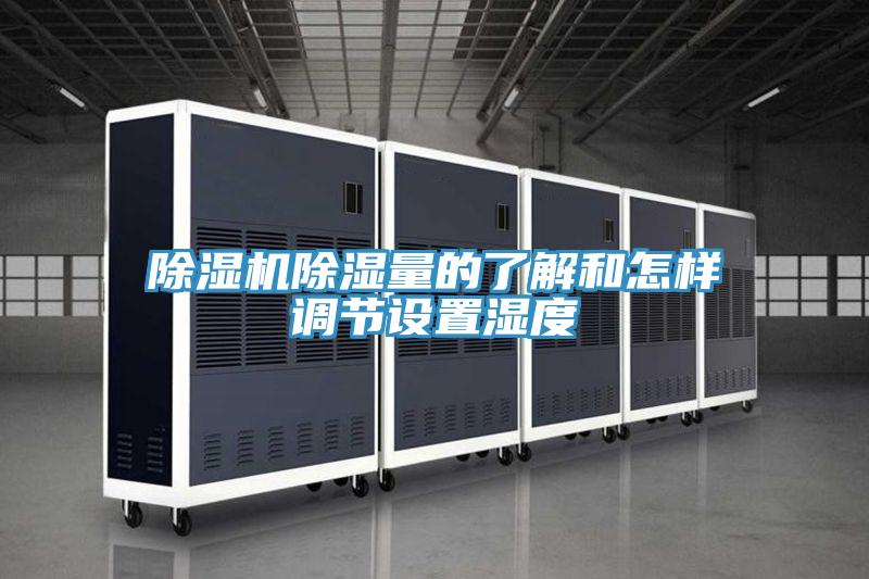 辣椒视频APP下载并安装除湿量的了解和怎样调节设置湿度