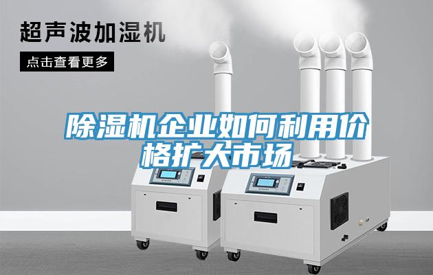辣椒视频APP下载并安装企业如何利用价格扩大市场