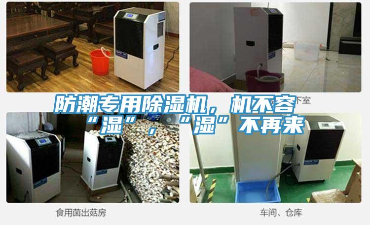 防潮专用辣椒视频APP下载并安装，机不容“湿”，“湿”不再来