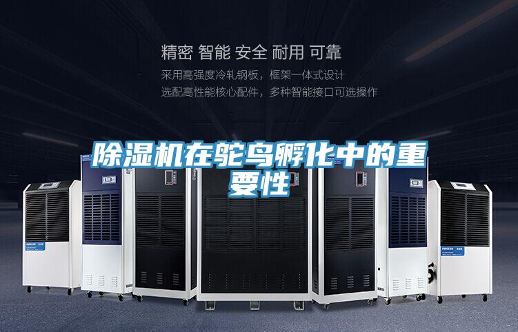 辣椒视频APP下载并安装在鸵鸟孵化中的重要性