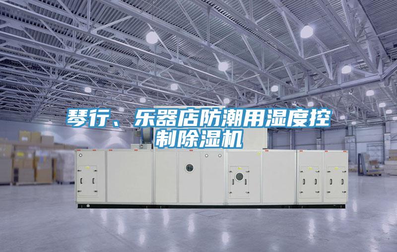 琴行、乐器店防潮用湿度控制辣椒视频APP下载并安装