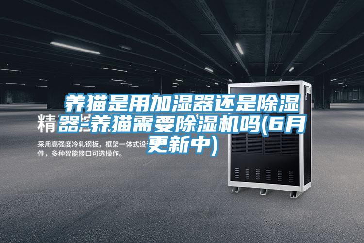 养猫是用加湿器还是除湿器-养猫需要辣椒视频APP下载并安装吗(6月更新中)