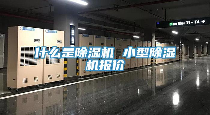 什么是辣椒视频APP下载并安装 小型辣椒视频APP下载并安装报价