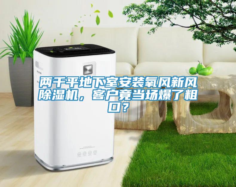 两千平地下室安装氧风新风辣椒视频APP下载并安装，客户竟当场爆了粗口？