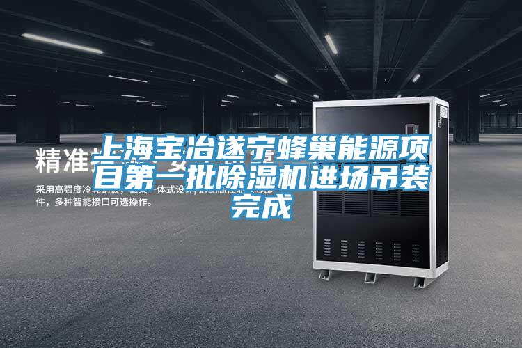 上海宝冶遂宁蜂巢能源项目第一批辣椒视频APP下载并安装进场吊装完成