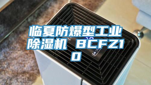 临夏防爆型工业辣椒视频APP下载并安装 BCFZ10