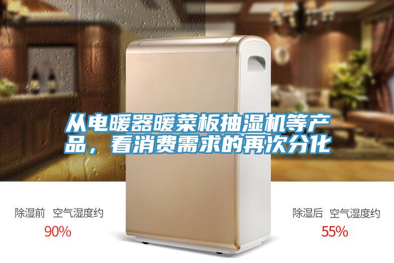 从电暖器暖菜板抽湿机等产品，看消费需求的再次分化