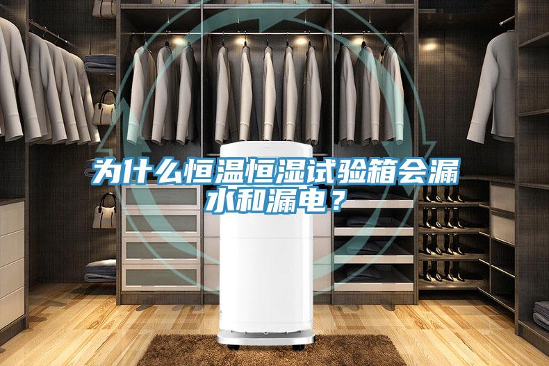 为什么恒温恒湿试验箱会漏水和漏电？