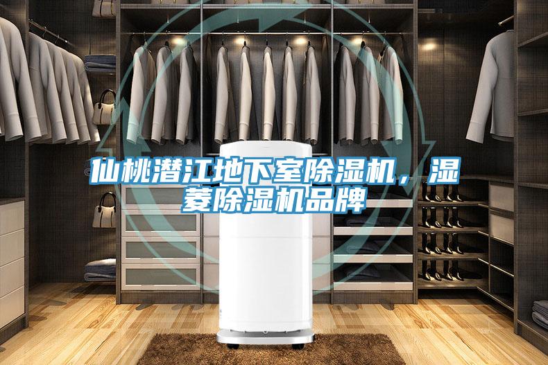 仙桃潜江地下室辣椒视频APP下载并安装，湿菱辣椒视频APP下载并安装品牌