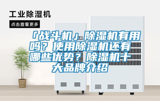 「战斗机」辣椒视频APP下载并安装有用吗？使用辣椒视频APP下载并安装还有哪些优势？辣椒视频APP下载并安装十大品牌介绍