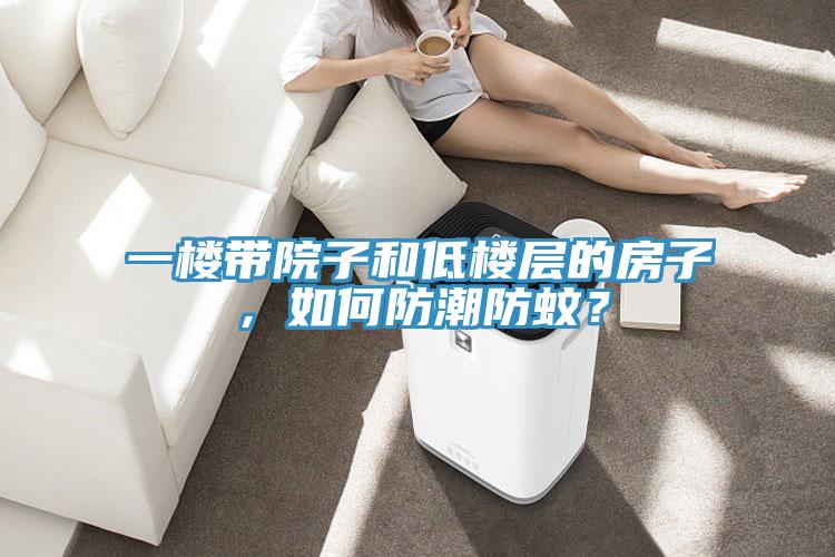 一楼带院子和低楼层的房子，如何防潮防蚊？