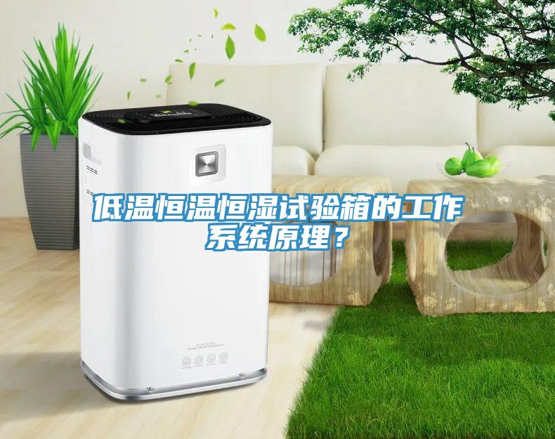 低温恒温恒湿试验箱的工作系统原理？