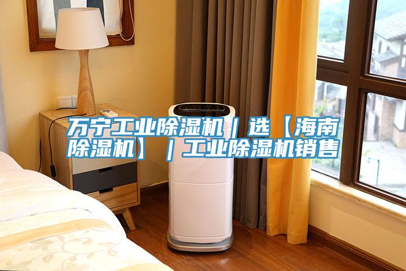 万宁工业辣椒视频APP下载并安装｜选【海南辣椒视频APP下载并安装】｜工业辣椒视频APP下载并安装销售
