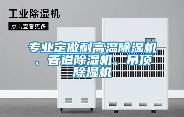 专业定做耐高温辣椒视频APP下载并安装、管道辣椒视频APP下载并安装、吊顶辣椒视频APP下载并安装