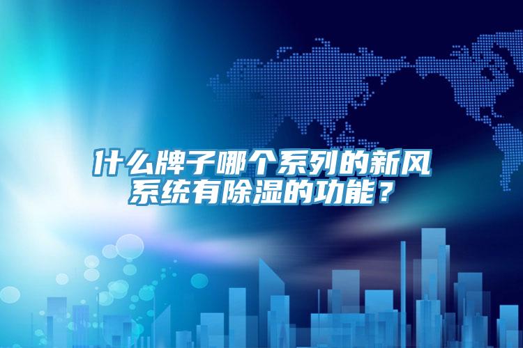 什么牌子哪个系列的新风系统有除湿的功能？