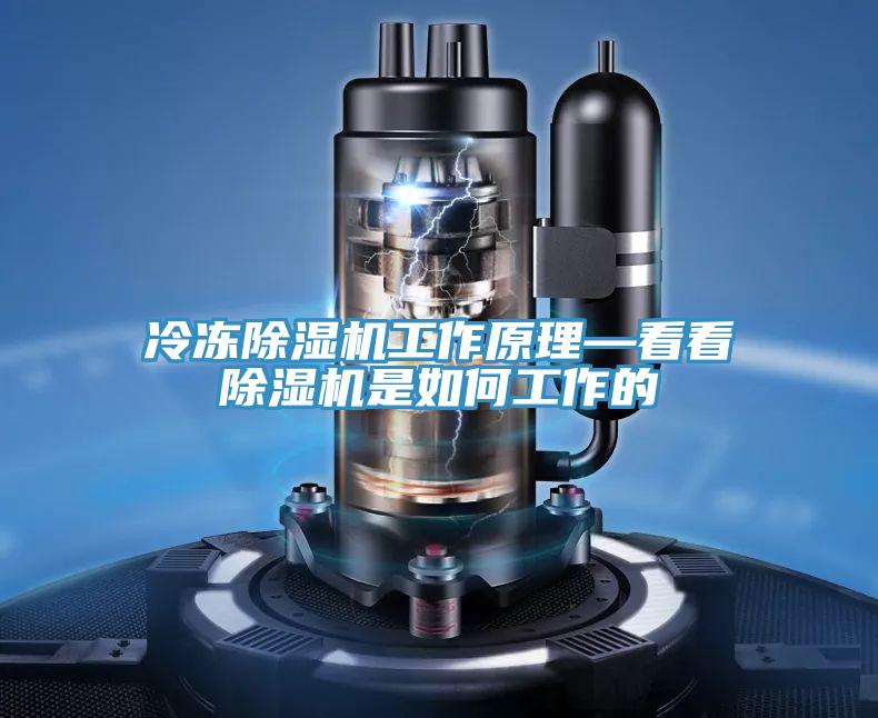 冷冻辣椒视频APP下载并安装工作原理—看看辣椒视频APP下载并安装是如何工作的
