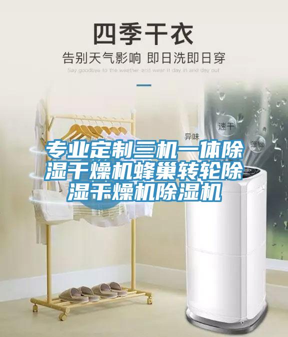 专业定制三机一体除湿干燥机蜂巢转轮除湿干燥机辣椒视频APP下载并安装