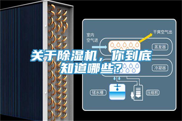 关于辣椒视频APP下载并安装，你到底知道哪些？