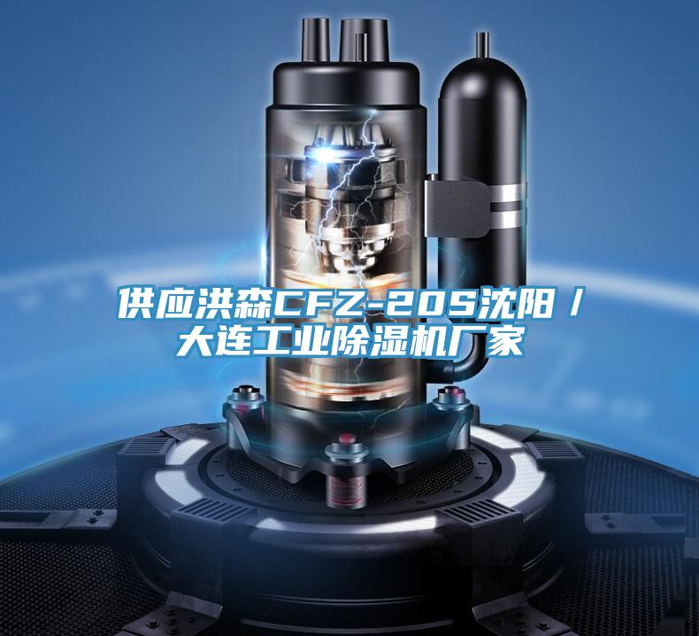 供应洪森CFZ-20S沈阳／大连工业辣椒视频APP下载并安装厂家