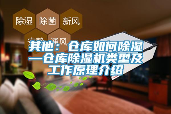 其他：仓库如何除湿—仓库辣椒视频APP下载并安装类型及工作原理介绍