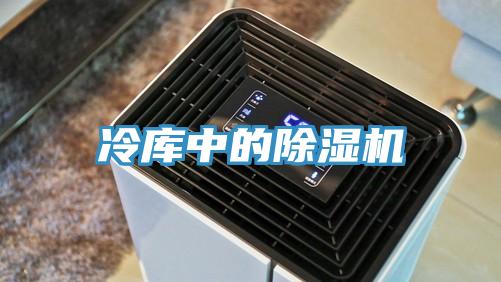 冷库中的辣椒视频APP下载并安装