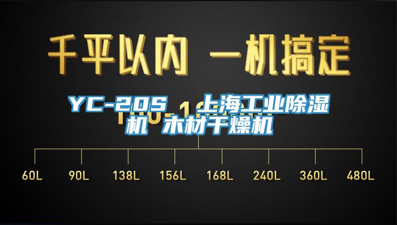 YC-20S  上海工业辣椒视频APP下载并安装 木材干燥机